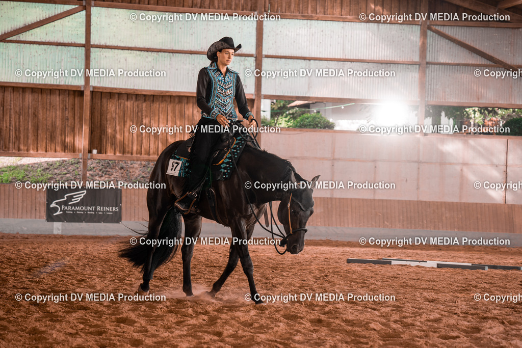 NE200162 | dv-media-shop - Realisiert mit Pictrs.com