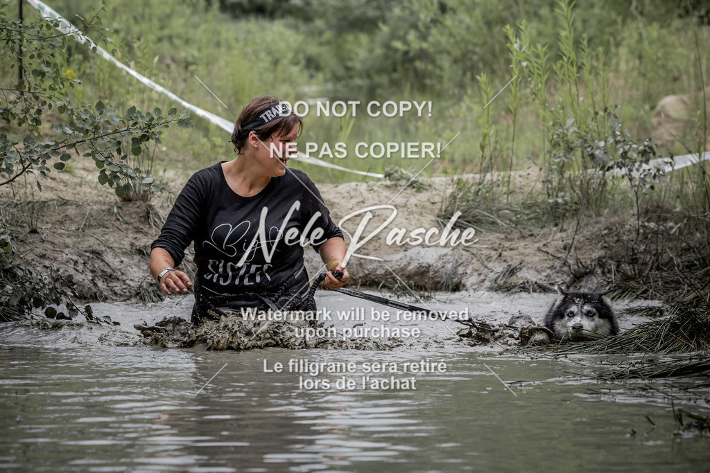 nelerasche_so1330-1400_444 | nelerasche