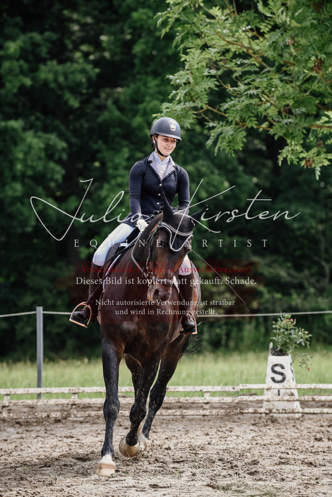 DSC_0578 | Pferde- und Turnierfotografie in Westsachsen. Pferdeportraits, Auftragszeichnungen und intuitive Kunst.