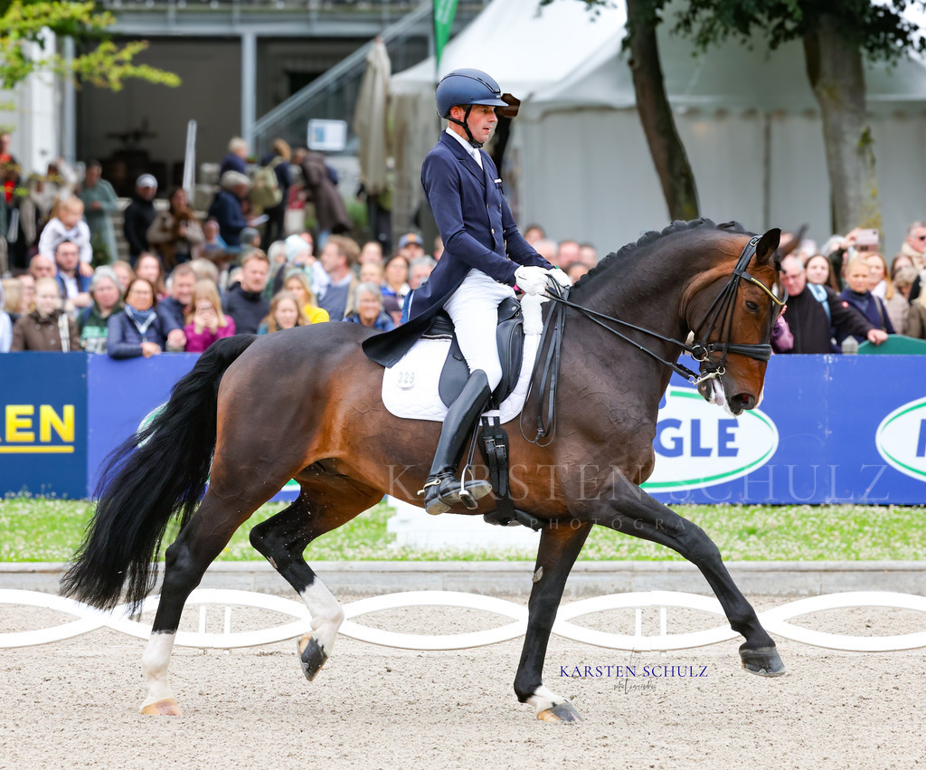 1B3A7555 | Reitsport Reiten
