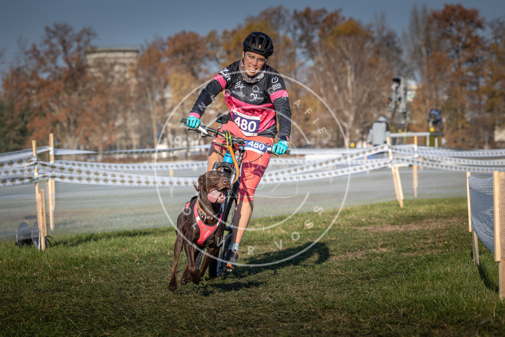 CaniXpix_0L8A4687 | Hundefotografie, Tierfotograf, Pfotenfotografie, Fotoshooting Hund, Hunde Portrait, Hundesport, Hundeportraits, Heideshooting, Hunde, Sportfotograf, Hundefotograf, Turnierhundsport, THS,  - Realisiert mit Pictrs.com
