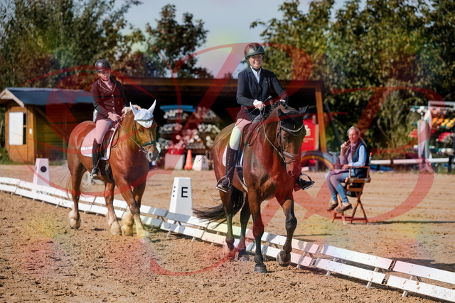 2026_10_03_Siefer-Hof_130422_Z63_67048904 | Professionelle Reitsport-, Turnier- und Eventfotografie von Robert Broda. Galerien mit ausgewählten und bearbeiteten Bildern direkt online ansehen und bestellen.