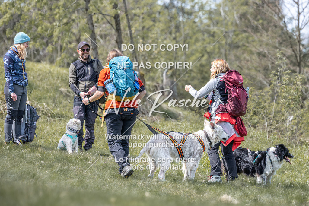 6Z1A0951 | nelerasche