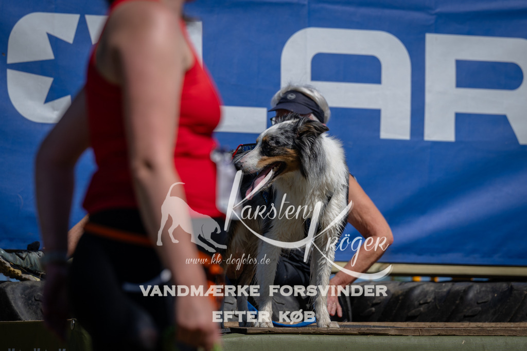 1235_ZZ95742 | kk-dogfotos