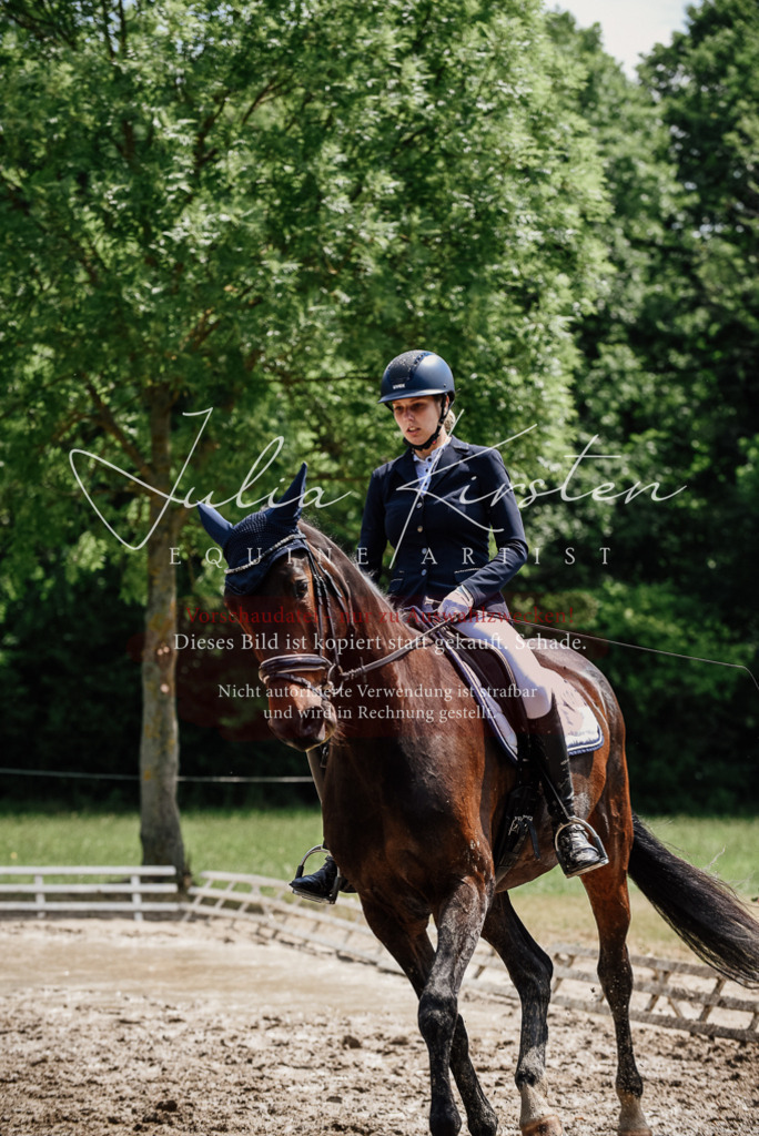 DSC_1443 | Pferde- und Turnierfotografie in Westsachsen. Pferdeportraits, Auftragszeichnungen und intuitive Kunst.