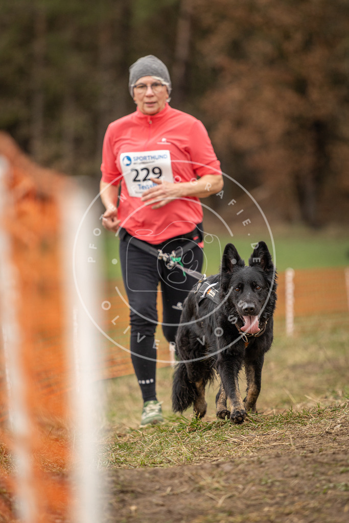 DV3A3054 | Hundefotografie, Tierfotograf, Pfotenfotografie, Fotoshooting Hund, Hunde Portrait, Hundesport, Hundeportraits, Heideshooting, Hunde, Sportfotograf, Hundefotograf, Turnierhundsport, THS,  - Realisiert mit Pictrs.com