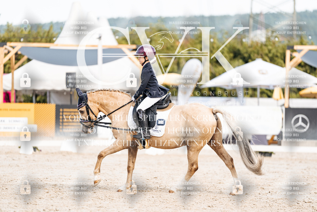 CK904717 | Turnierfotografie Pferdefotografie Trier Rheinland-Pfalz Pferdesport Reitsport Tierfotografie Sportfotografie Pferdevideo Pferdevideografie Equestrianvideography equestrianphotography  - Realisiert mit Pictrs.com