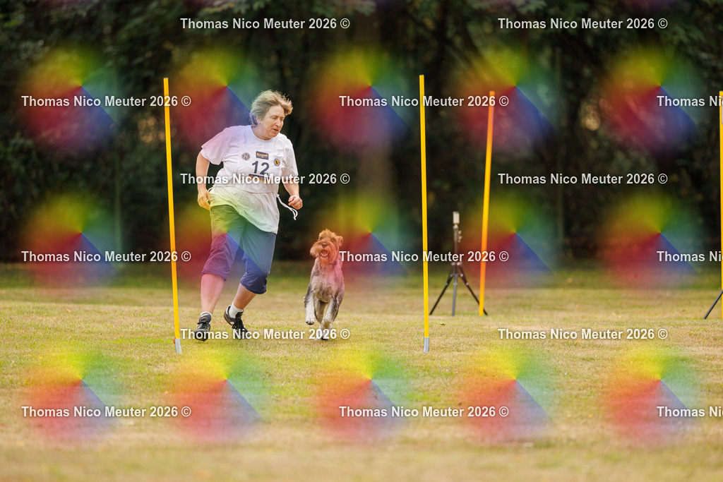 Thomas_Nico_Meuter(C)_22. August 2026_223A3287 | Bild von Thomas Nico Meuter - Realisiert mit Pictrs.com