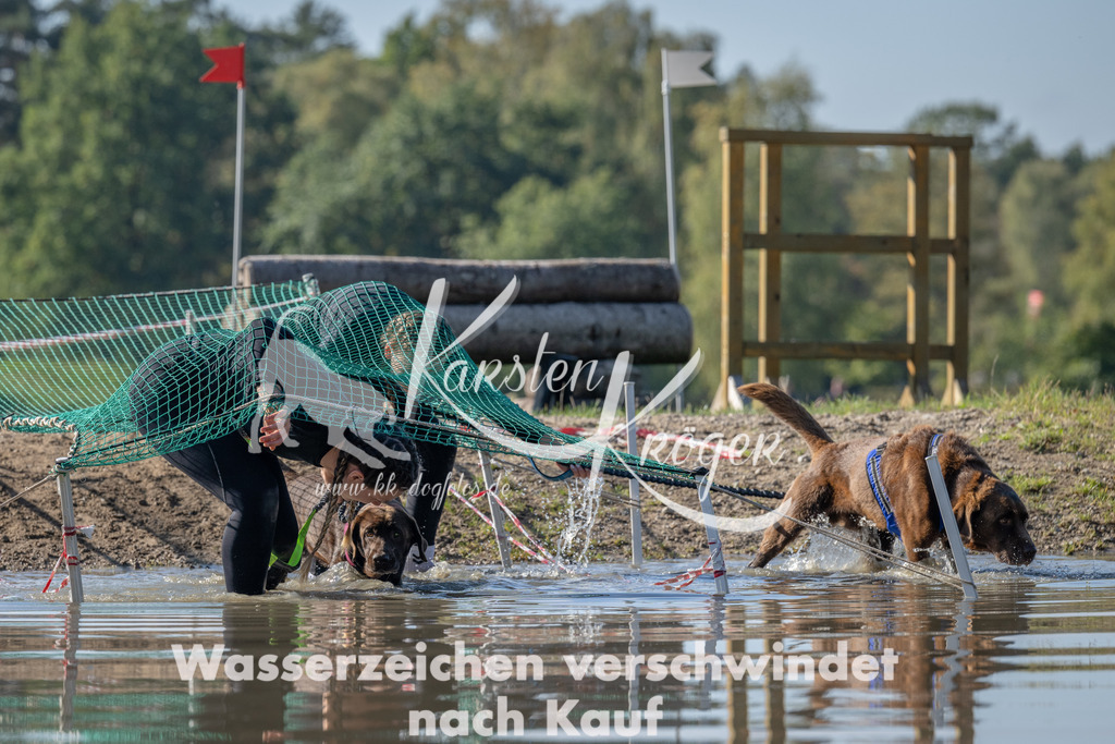 1318_ZZ90016 | kk-dogfotos