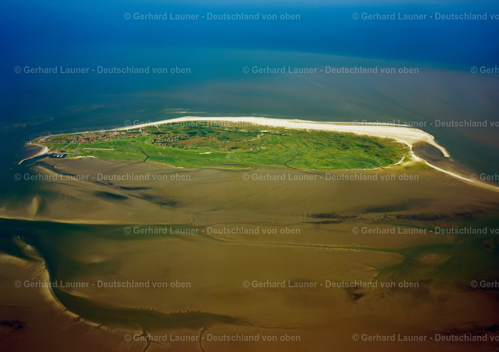 7000914 | Baltrum,Nationalpark Niedersächisches Wattenmeer