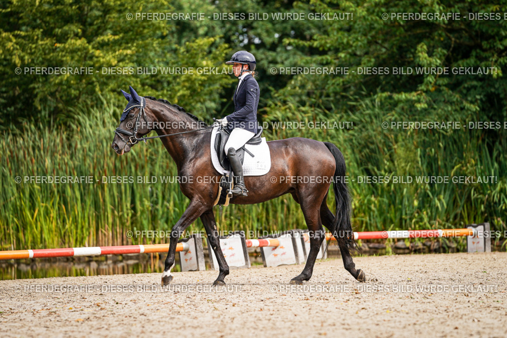 DSC01904 | Pferdegrafie