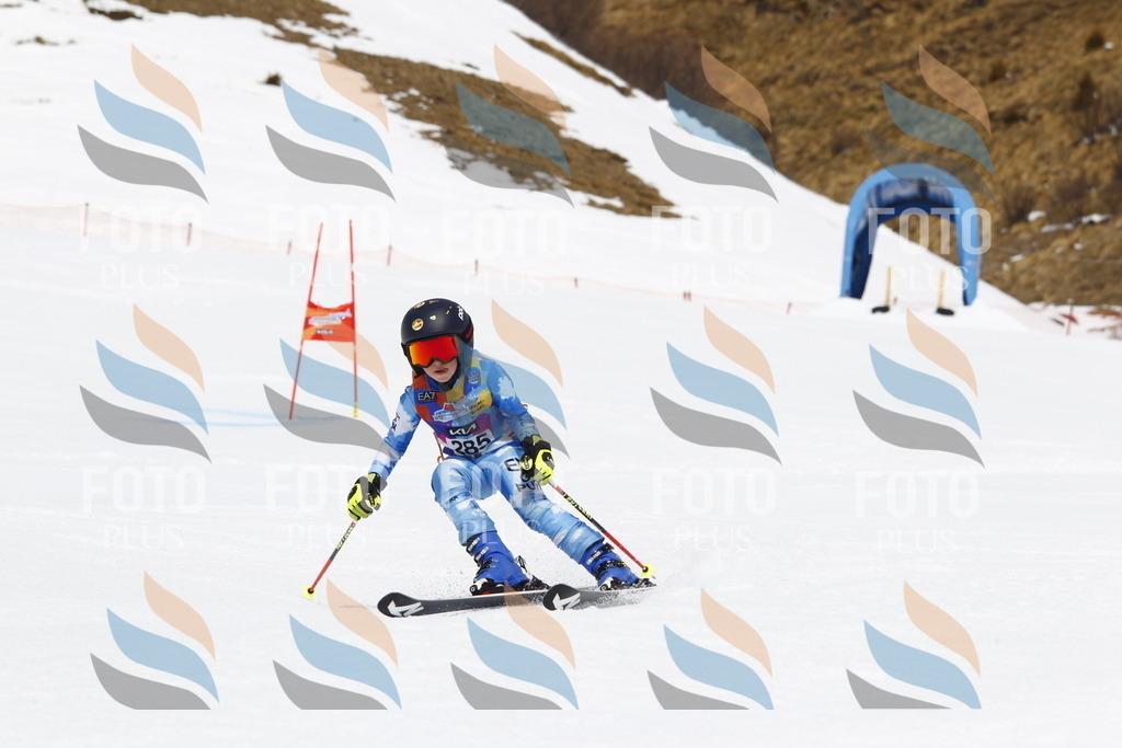 _U3G7140 | holidayphoto