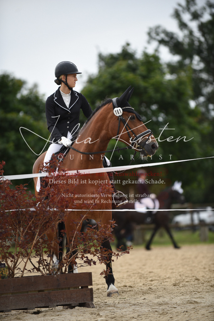 DSC_8224 | Pferde- und Turnierfotografie in Westsachsen. Pferdeportraits, Auftragszeichnungen und intuitive Kunst.