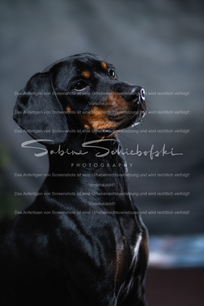 DSCF4416 | People- und Tierfotografie, Imageaufnahmen, Veranstaltungsfotografie und Wandbilder aus der Natur ★ Made in Germany ✔️ Druck + Downloads ✔️ Naturfotografie in Top Qualität ★ schneller Versand, weltweite Lieferung! - Realisiert mit Pictrs.com