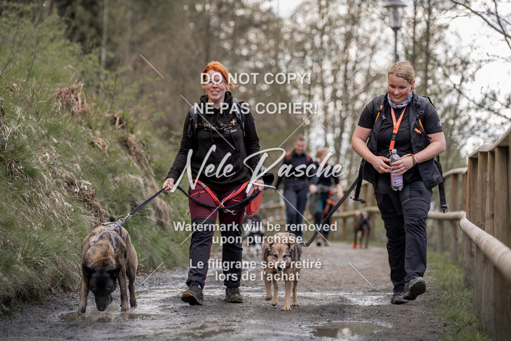 NR__0890 | nelerasche