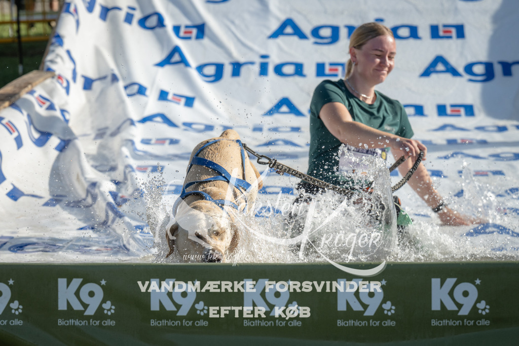 0920_ZZ94842 | kk-dogfotos