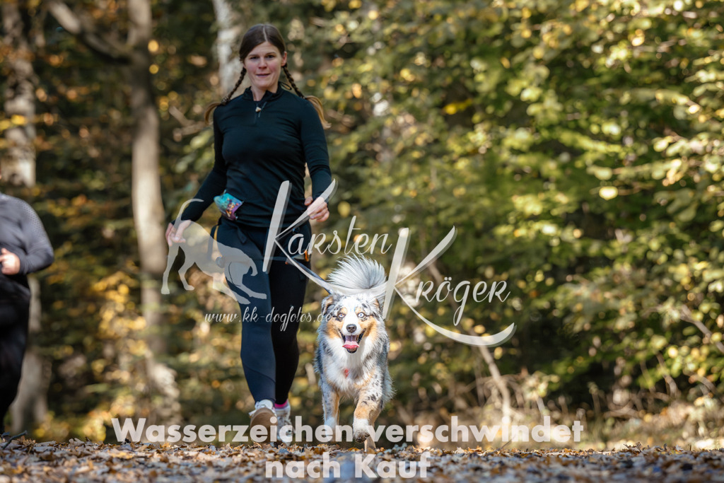 1118_ZZ91948 | kk-dogfotos