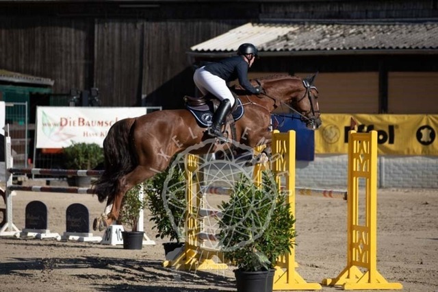 2B4A0670 | pixelfaenger - Realisiert mit Pictrs.com