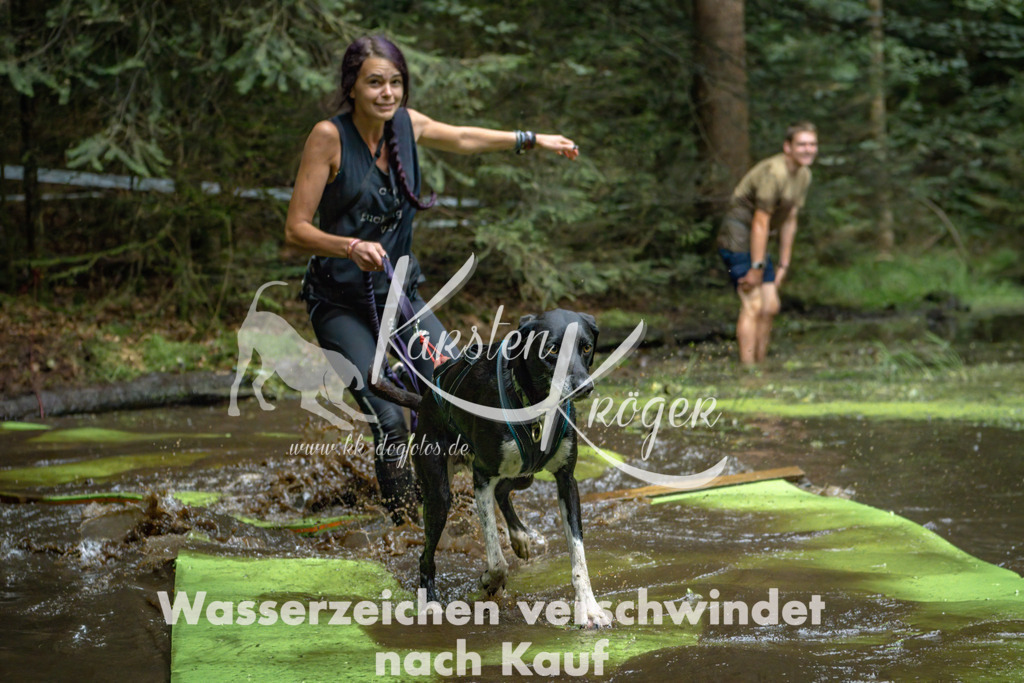 1532_ZZ91205-Bearbeitet | kk-dogfotos