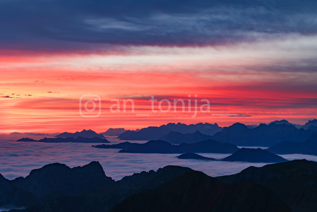 A.Trupina-97 | antonija-trupina - Realisiert mit Pictrs.com