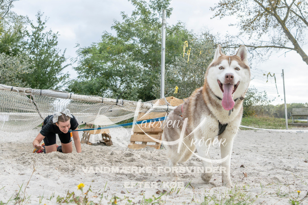 1527_ZZ95291 | kk-dogfotos