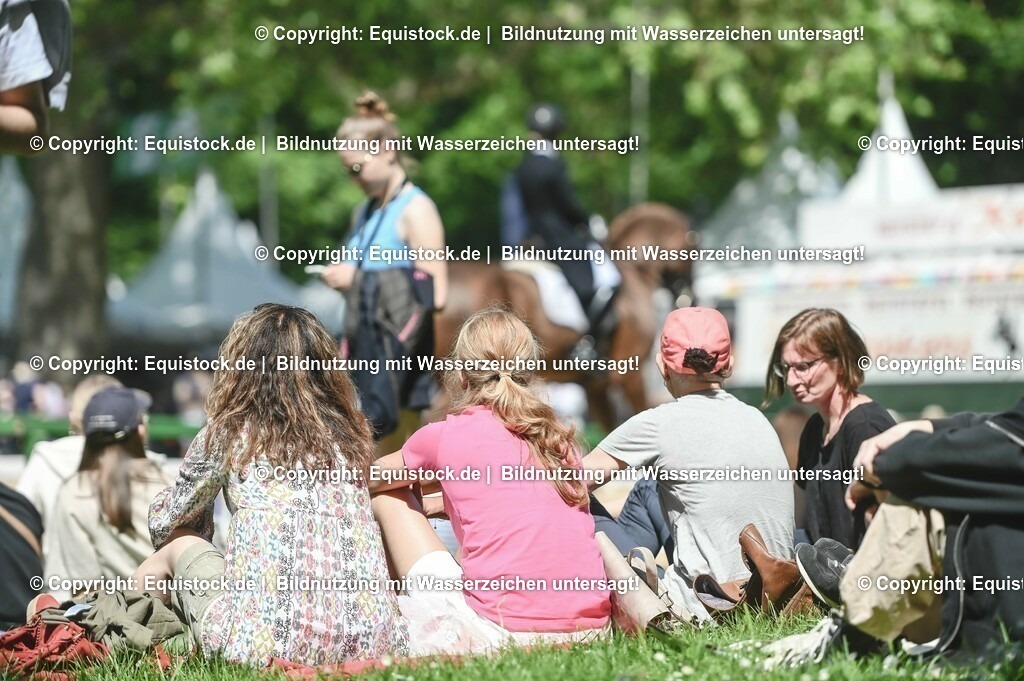 D78_2922 | equistock