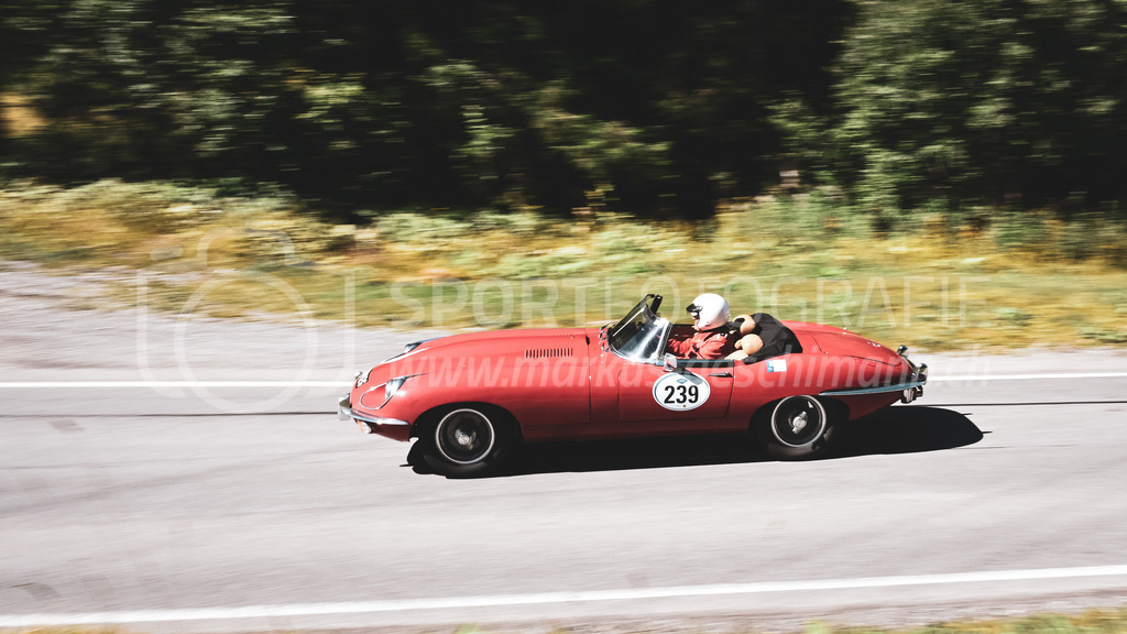 19. Arosa ClassicCar 2023 - 1. September 2023 | 19. Arosa ClassicCar 2023
Arosa, Schweiz
Kane William Robin aus Exeter mit der Startnummer 239 in einem Jaguar E Type Series 2, Jahrgang 1969, in der Klasse Classic Trophy.
@arosaclassiccar, @arosa.official, #arosaclassiccar, #arosa, #76curves, #classiccar
Bild: Sportfotografie Markus Aeschimann | www.markus-aeschimann.ch - Realisiert mit Pictrs.com