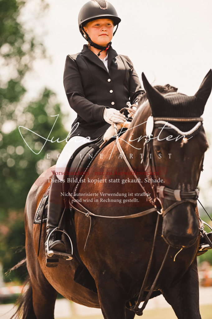 DSC_6290 | Pferde- und Turnierfotografie in Westsachsen. Pferdeportraits, Auftragszeichnungen und intuitive Kunst.