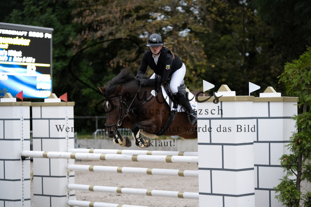 A7V08718 | Pferdefotograf