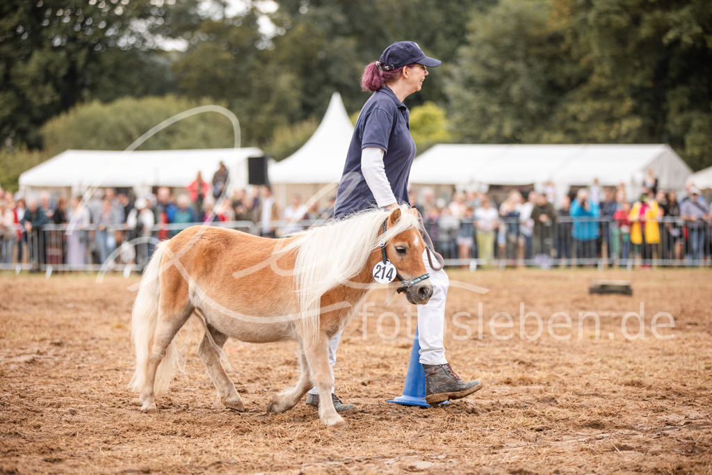 846A3722 | fotosleben - Realisiert mit Pictrs.com