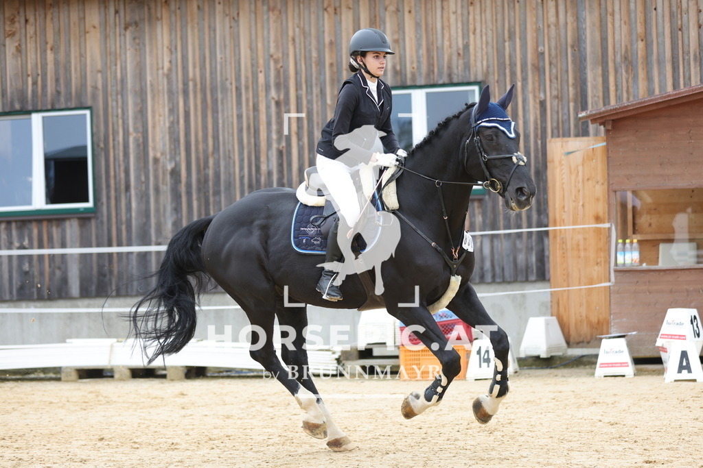 0P6A2184 | Willkommen bei Brunnmayr - Design & Fotografie – Ihrem Spezialisten für Reitturniere und Pferdeveranstaltungen in Oberösterreich, Salzburg und Bayern! Seit über 17 Jahren sind wir leidenschaftlich dabei.