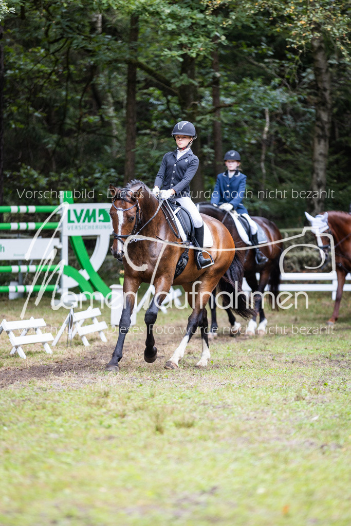 HB-Reiter-WB-004 | MomenTaufnahmen Pferdesportfotos