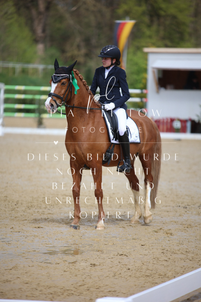 IMGT4407 | pl-fotografie