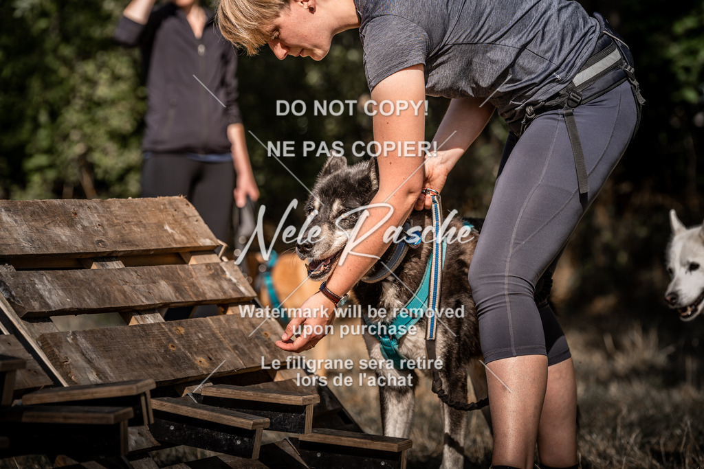 nelerasche_slaw24So_242 | nelerasche