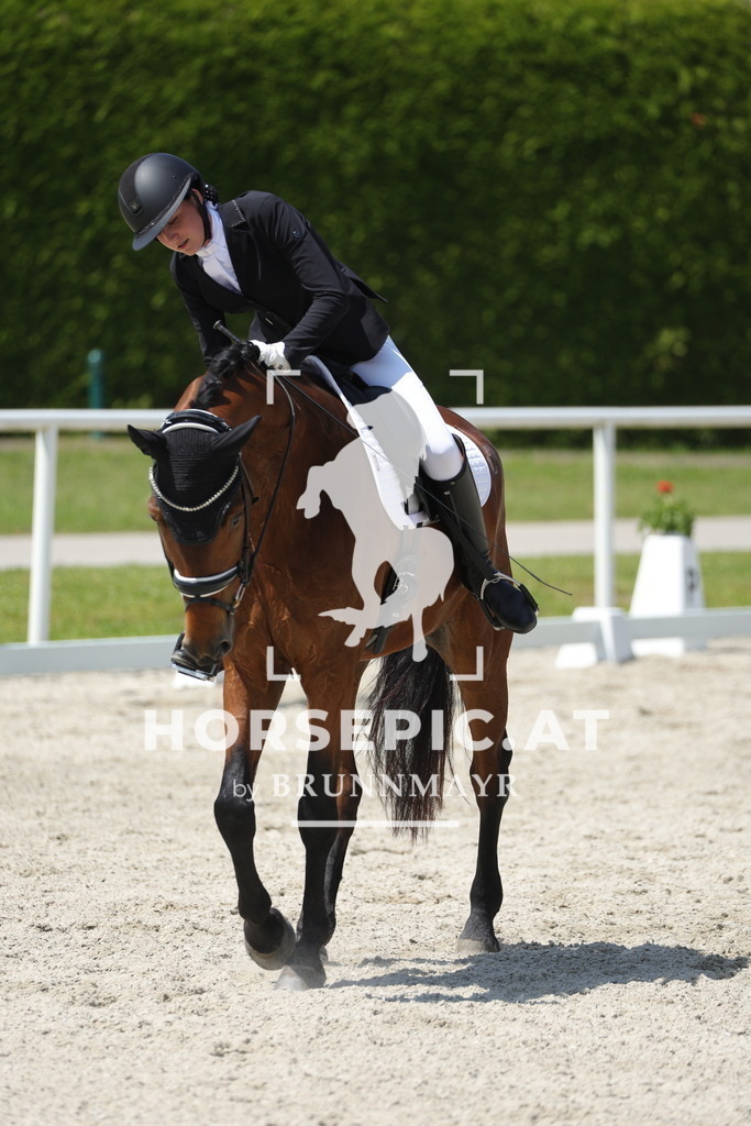 0P6A1220 | Willkommen bei Brunnmayr - Design & Fotografie – Ihrem Spezialisten für Reitturniere und Pferdeveranstaltungen in Oberösterreich, Salzburg und Bayern! Seit über 17 Jahren sind wir leidenschaftlich dabei.