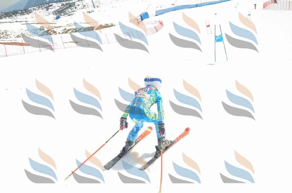 _ELE7526 | holidayphoto