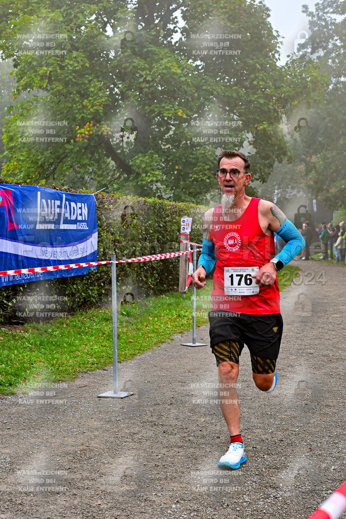 Z8N_1390 | la-psv - Realisiert mit Pictrs.com