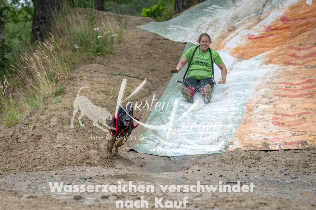 1644_ZZ92790-Bearbeitet | kk-dogfotos