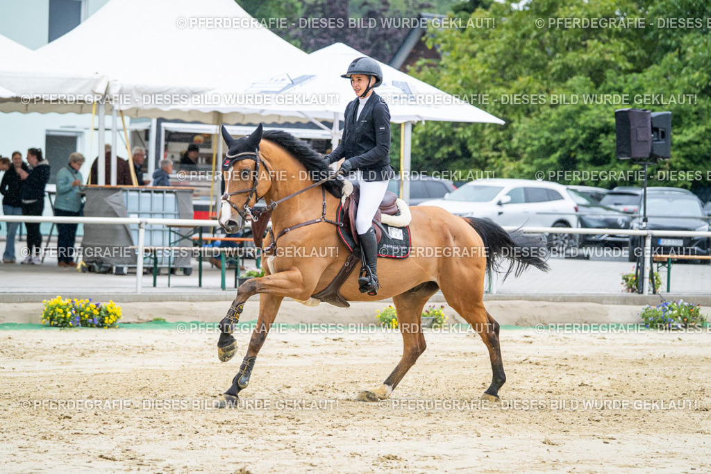 DSC01994 | Pferdegrafie