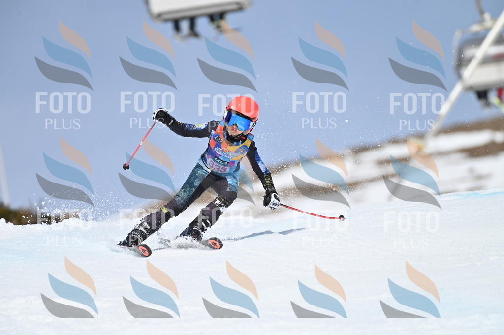 BGV_3332 | holidayphoto