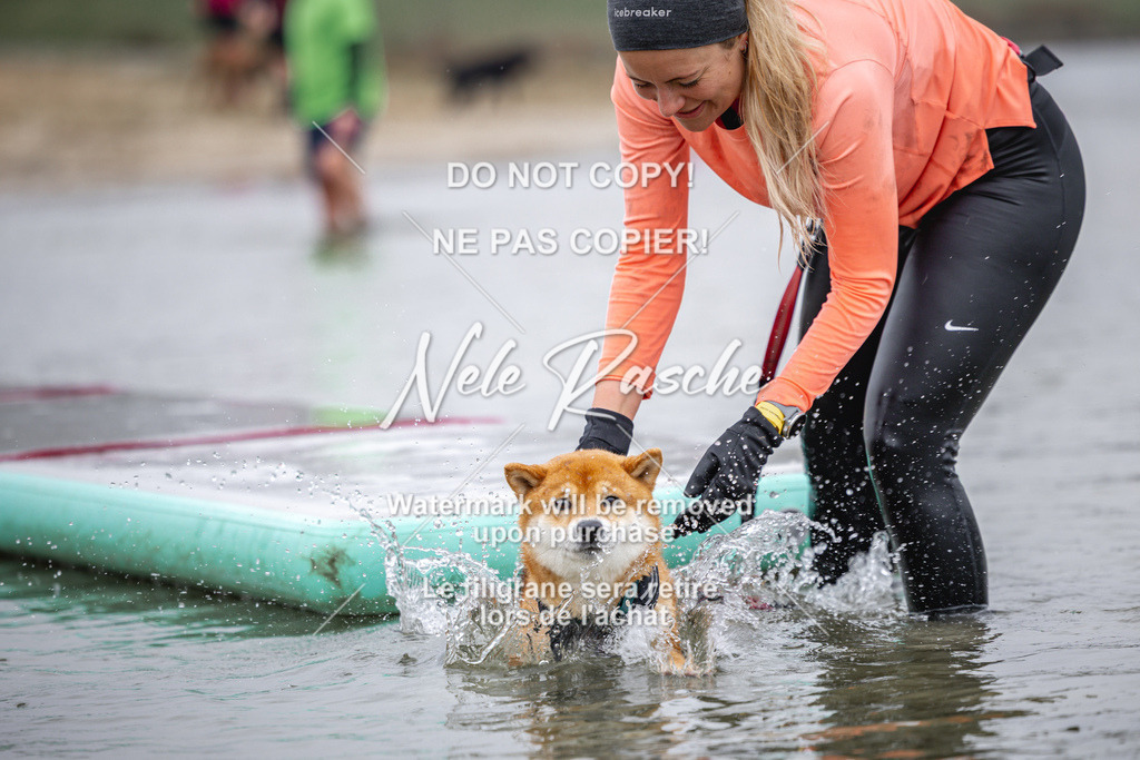 nelerasche_Hulsbeek_Sa1030-1100_97 | nelerasche