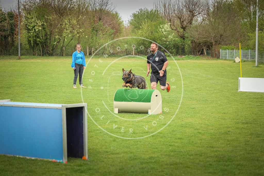 Pfotenfotografie_0L8A9979 | Hundefotografie, Tierfotograf, Pfotenfotografie, Fotoshooting Hund, Hunde Portrait, Hundesport, Hundeportraits, Heideshooting, Hunde, Sportfotograf, Hundefotograf, Turnierhundsport, THS,  - Realisiert mit Pictrs.com