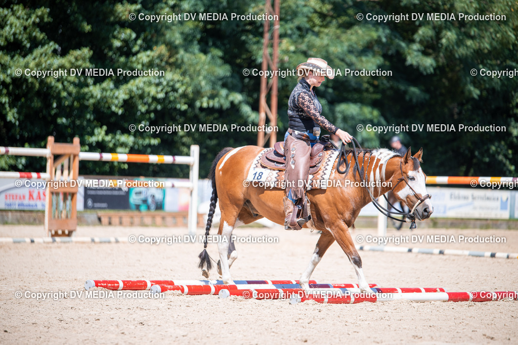 ZS1_1439 | dv-media-shop - Realisiert mit Pictrs.com