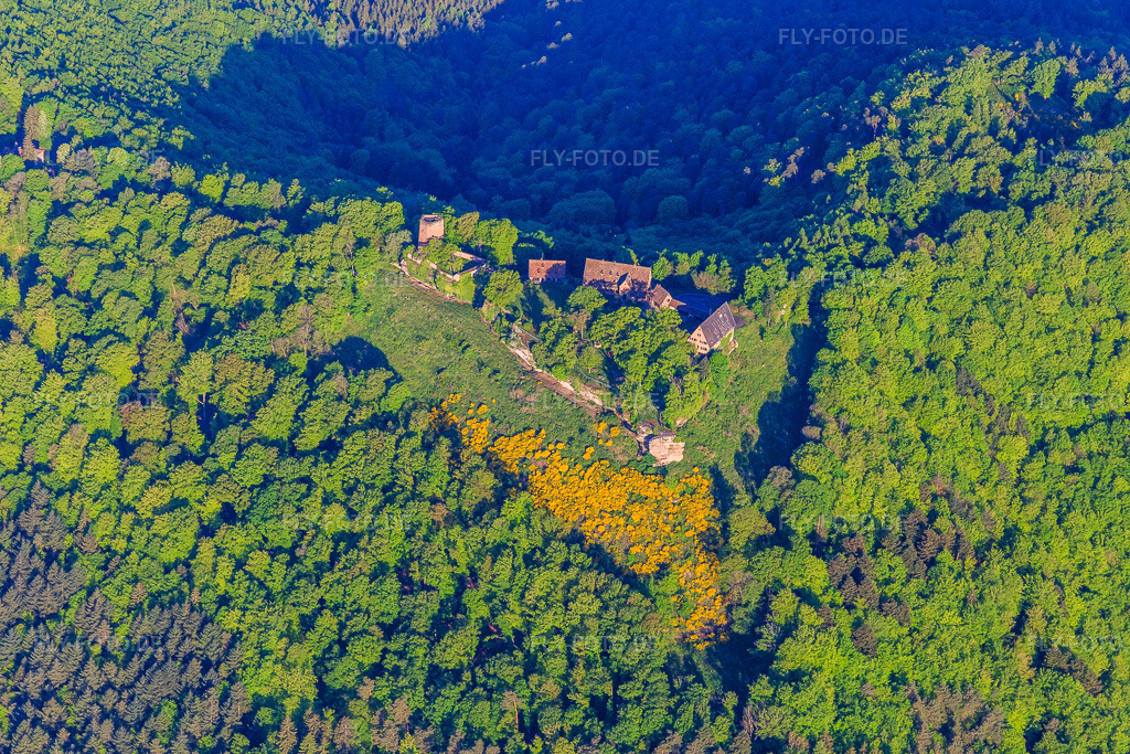 Luftbild: CHÂTEAU DU HUNEBOURG aus Osten in Dossenheim-sur-Zinsel im Bundesland Bas-Rhin in Frankreich. Foto: IMG_145942.jpg vom 01.05.2025 durch Werner Riehm/FLY-FOTO.de