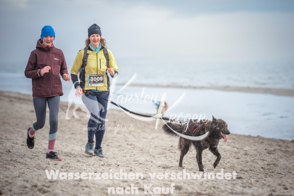 1145_ZZ90583 | kk-dogfotos