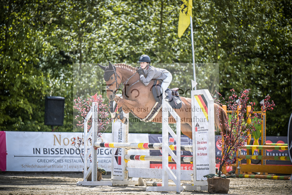 DOS_6786 | Entdecke hochwertige Reitturnierfotos von Foto Oger. Professionell, emotional und authentisch – jetzt Lieblingsmomente im Shop bestellen.Deutschlandweite Turnierfotografie. - Realisiert mit Pictrs.com