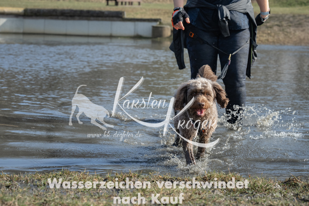 1351_ZZ98369 | kk-dogfotos