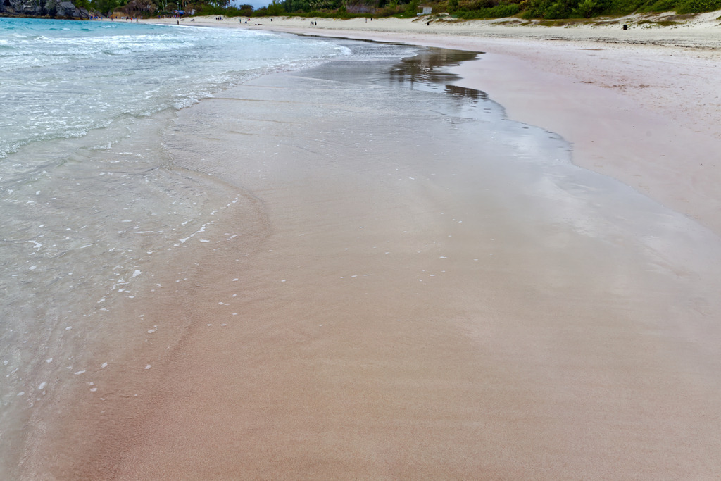 1H5A0571 | ansichtssache