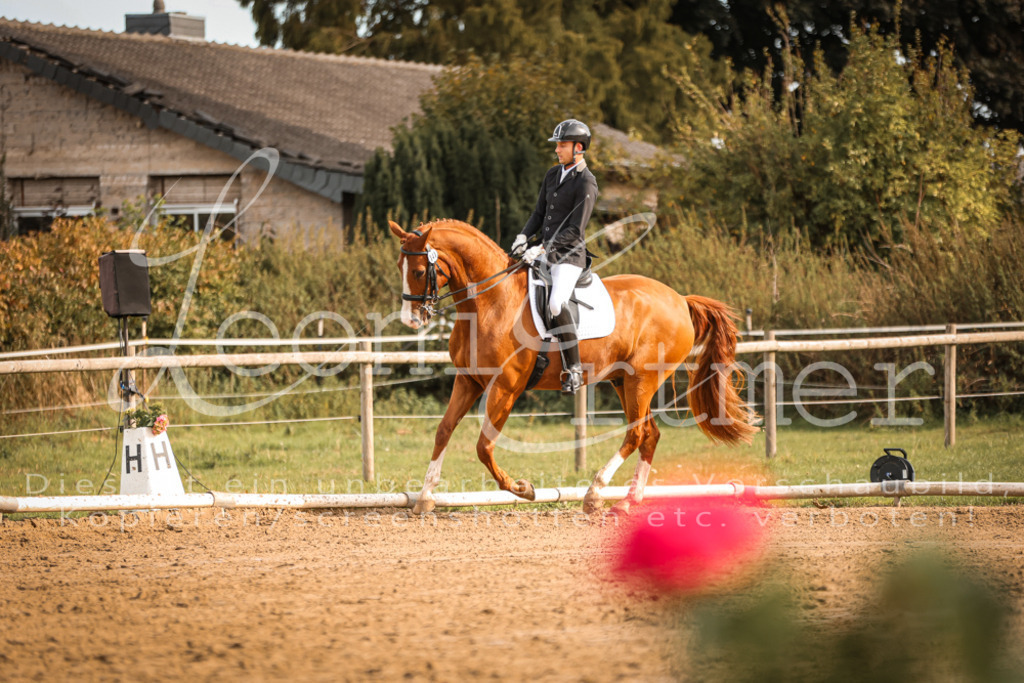 17.SoDrM00228 | Leoni Ertmer Photography - Realisiert mit Pictrs.com