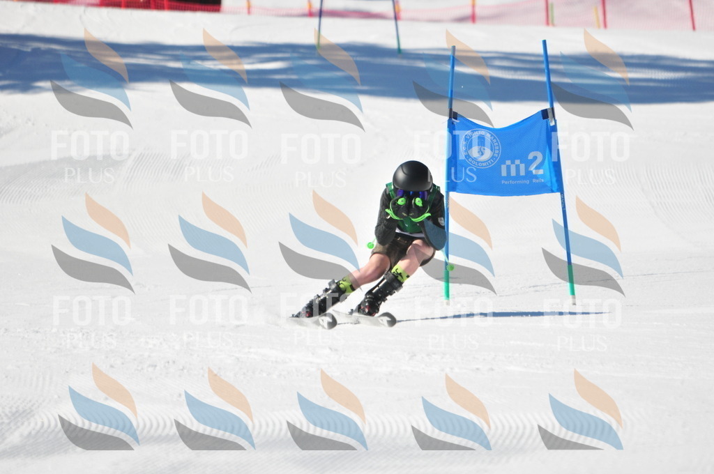 C3831 | holidayphoto